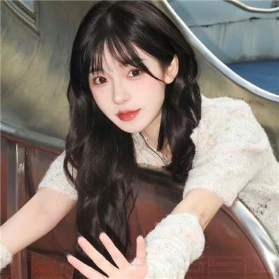 双重追捕血拼金三角海报