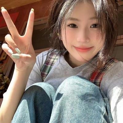 总统的夫人海报